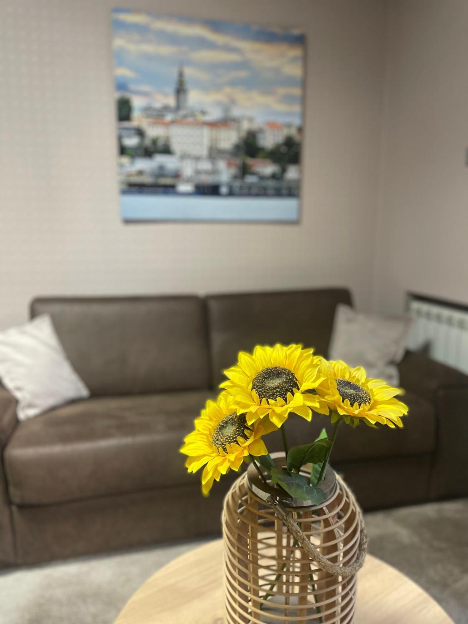 City Code In Joy Belgrade Extérieur photo